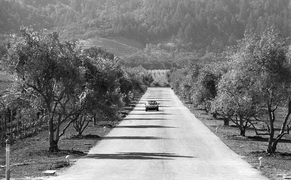 A black and white image of a vintage car driving down the Opus One driveway in Oakville, California.